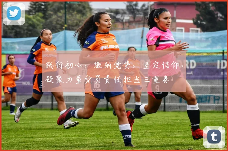践行初心，缴纳党费，坚定信仰，凝聚力量党员责任担当三重奏