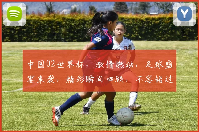 中国02世界杯，激情燃动，足球盛宴来袭，精彩瞬间回顾，不容错过