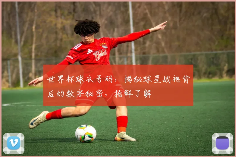 世界杯球衣号码，揭秘球星战袍背后的数字秘密，抢鲜了解