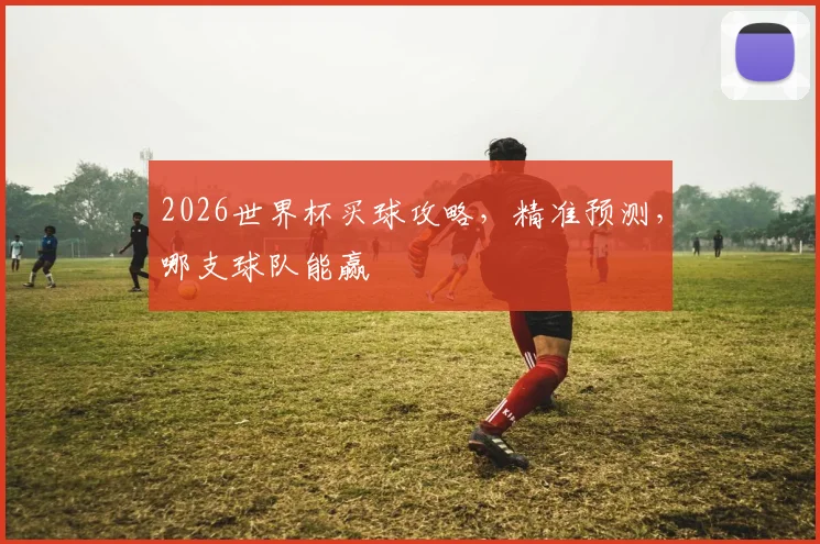 2026世界杯买球攻略，精准预测，哪支球队能赢